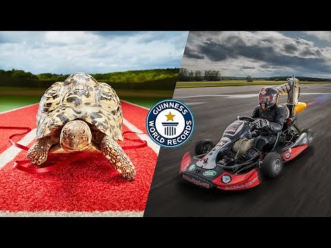DANG THAT'S FAST! - Guinness World Records