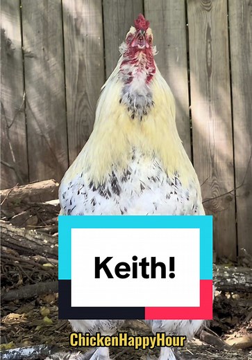Frankie's Fun Chicken Happy Hour with Keith Urban