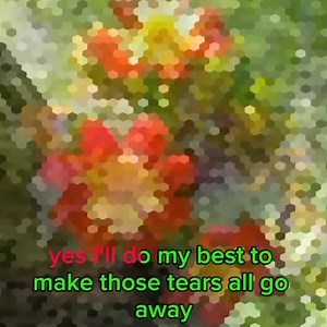 1.9K views · 128 reactions | TELL ME WERE IT HURTS ✨✨✨with lyrics✨✨✨ ❤MYMP | Kings Green | Facebook