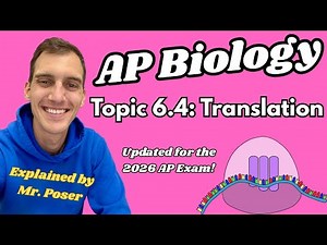 6.4 Translation - AP Biology (Updated 2025-2026)