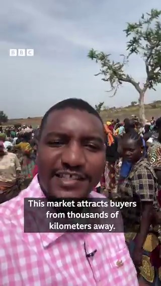 Nigeria 🇳🇬 as the highest consumer of dog meat in Africa and the third-highest consumer in the world, after South Korea and Vietnam.The BBC visited Nigeria’s biggest dog market in Plateau State.