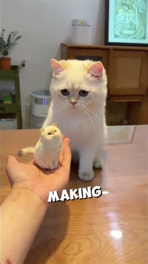 His cats left so much fur ❤️ #shorts