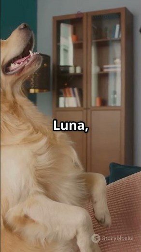 Hilarious Dog Voiceovers You Can't Miss!