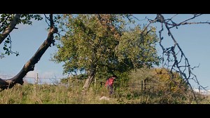 17K views · 178 reactions | Tardigrade Song! created by Gallivant Film | Cosmo Sheldrake | Facebook