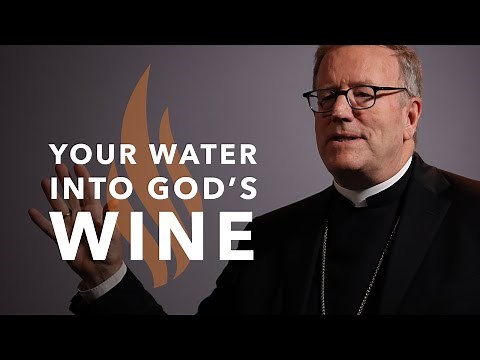 Your Water into God’s Wine - Bishop Barron's Sunday Sermon