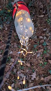 I'm here to spread holiday cheeeeeeer ♥️🐽 | Narvie