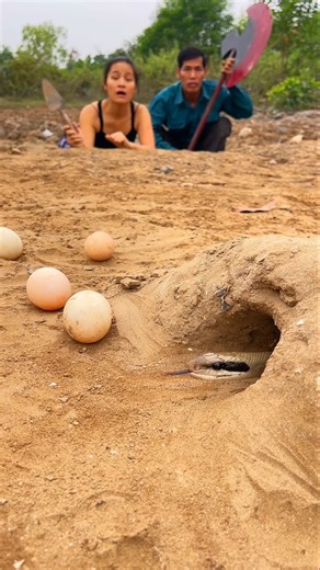 The Ferocious Snake Was Pulled Out Of Its Hole By The Poor Old Man And The Young Girl.