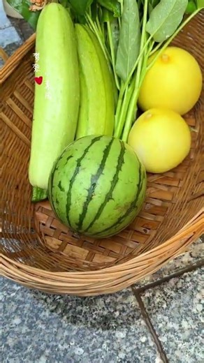 Spring in the Small Courtyard: A Vegetable Garden's Flourishing