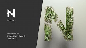 SHORTEST PATH GROWTH