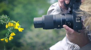 Stunning resolution and clarity for a breathtaking visual experience - a razor-sharp Macro Lens joins the Sigma Imaging UK Art line. The stunning and long-awaited Sigma 70mm F2.8 DG MACRO lens is designed to prioritize optical performance whilst delivering breathtaking resolution and incredible clarity along with extremely smooth and precise focusing. **Sony E-Mount IN-STOCK NOW** Get yours now for ONLY £499. | CameraWorld | Facebook