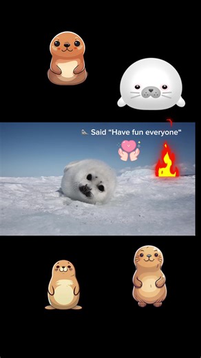 Hello Ocean on TikTok