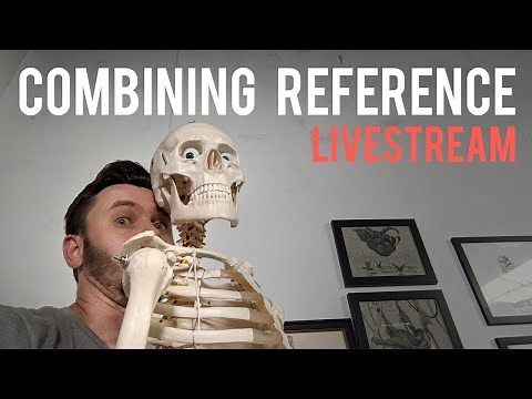 Stan Prokopenko Merging Reference (LIVESTREAM)