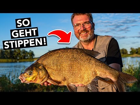 Stippangeln leicht gemacht 🎣 Die ultimative Anleitung für Einsteiger!