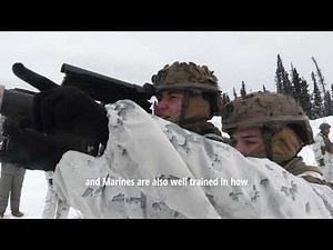 ARCTIC EDGE - U.S. Homeland Defense begins in the Arctic (2026)