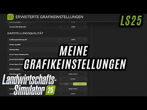 LS25 - Meine Grafikeinstellungen für den LS25!