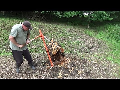 Pulling up a Large Old Stump with a Farm Jack