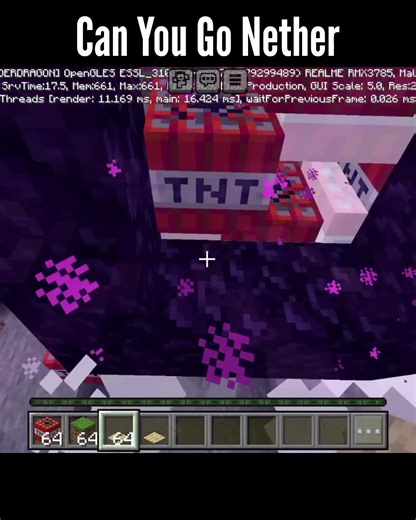 Can You Go Nether with this trap 🥶 #trap #minecraft #minecraftbuild