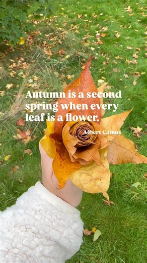 171 reactions | Autumn is a second spring when every leaf is a flower. Albert Camus.  #autumn #autumnleaf #naturecraft | Earlyyearsoutdoor | Facebook
