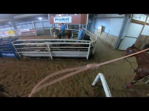 From City Boy to Professional Cowboy