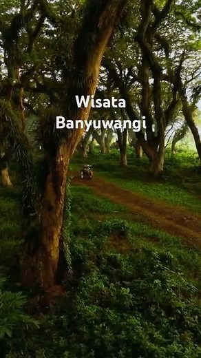 5 Recommendations for Banyuwangi Tourism 2026 #banyuwangitourism #banyuwangi #eastjavatourism #ea...