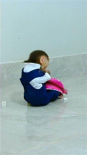 Funny & Cute Baby Monkeys Compilation 🐵 | Jungle Pranks & Wild Primates