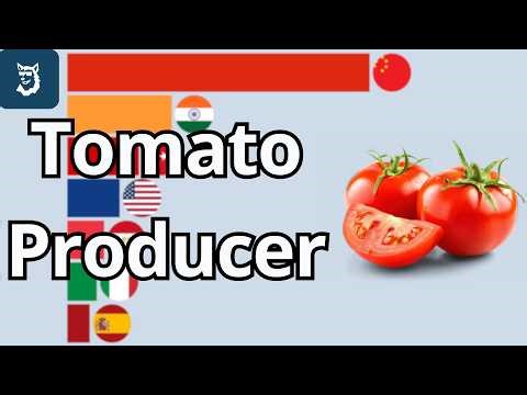 Top 15 Tomato Producing Countries 1960 - 2026