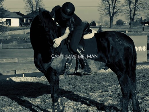 Meet the Sweetest Boy: Equestrian Adventures