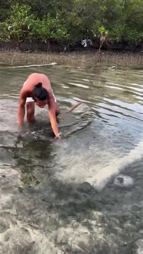 Chasing cuttle fish # marine ecosystems # sea creatures # underwater filming # diving for cuttlefish