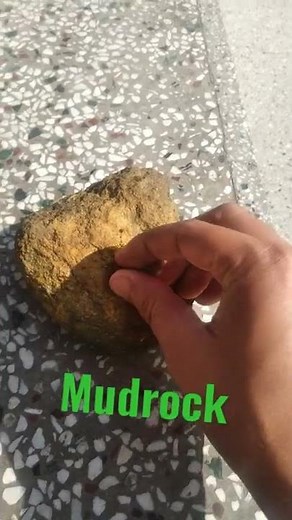 Mudstone is a Sedimentary Rock formed from Mud #Geology #Geography #UPSC2022 #CAPF #CDS #NDA #UPPCS
