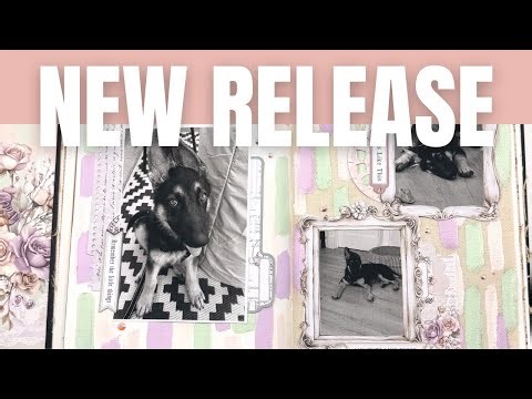 49 & Market Echoes Of Time Collection Overview