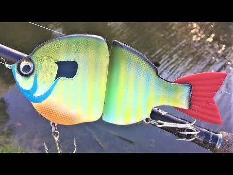 BlueGill SwimBait | One Day Build to Catch