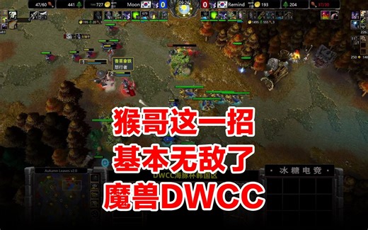 猴哥这一招绝了，基本无敌！魔兽DWCC海豚杯