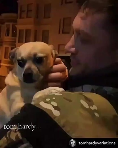 ⚜️Alen⚜️ (@tomhardy_27)’s videos with asl audio - ⚜️Alen⚜️