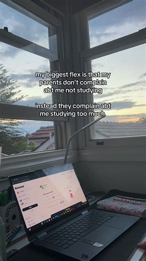 Balancing Study Habits: A Student's Perspective