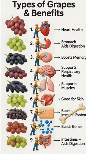 Types of Grapes and Their Health Benefits