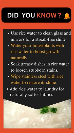 5 Genius Rice Water Household Hacks You’ll Wish You Knew Sooner