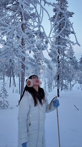 フィンランド・イナリでの驚きの氷の世界体験