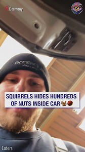 How was such a tiny thing capable of that? 😲 | SLICK SLIME SAM