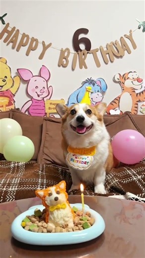 Corgi's 6th Birthday: DIY Corgi Cake Celebration