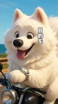 【血液型】AB型の取説【サモエド】 #血液型あるある #ai #相性抜群