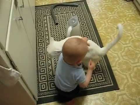 Cat Loves Baby