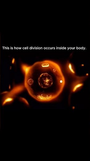How Cell Division Occurs in the body #shorts