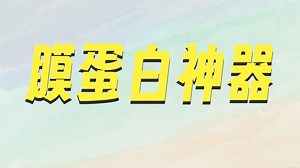 Gromacs视频教程-charmm-GUI：膜-蛋白体系建模神器简单介绍（1）