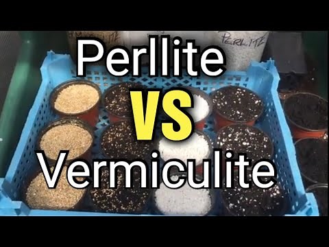 Perlite vs Vermiculite: What's the difference & which to choose?