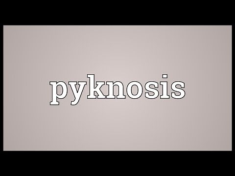 Pyknosis Meaning
