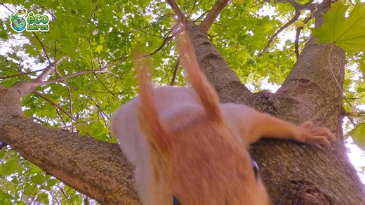 Ep 1-Mythbusters 1-FR