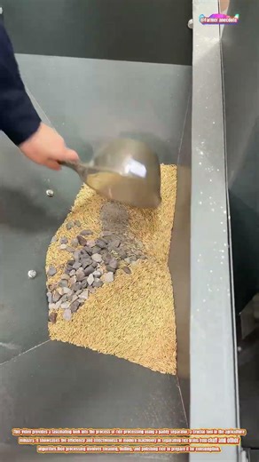 The Art of Rice Processing with a Paddy Separator