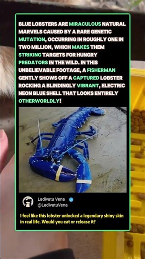 Why This 1-In-2-Million Blue Lobster Is GLOWING! 🦞 #Nature #Science #Wildlife