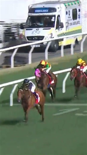 8 | 12 | CHINA WIN | M L Yeung | #Horse #Racing #Sport #Results #賽馬結果 #马會 #油管 #赛马结果