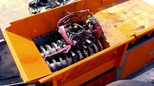 Mega Beasts of the Farm World in Action